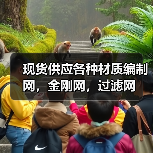 现货供应各种材质编制网,金刚网,过滤网(图4) 现货供应各种材质编制网,金刚网,过滤网(图4)