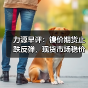 力源早评:镍价期货止跌反弹,现货市场稳价观望为主(图4) 力源早评:镍价期货止跌反弹,现货市场稳价观望为主(图4)