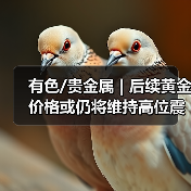 有色/贵金属 | 后续黄金价格或仍将维持高位震荡(图3) 有色/贵金属 | 后续黄金价格或仍将维持高位震荡(图3)
