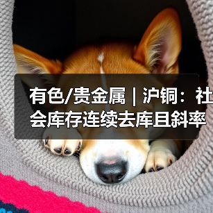 美伊局势与经济数据共振 影响全球大宗商品走势