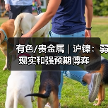 有色/贵金属 | 沪镍:弱现实和强预期博弈(图4) 有色/贵金属 | 沪镍:弱现实和强预期博弈(图4)