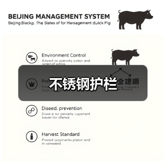 不锈钢护栏(图4) 不锈钢护栏(图4)