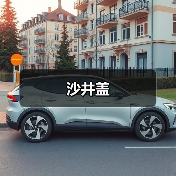 沙井盖(图2) 沙井盖(图2)