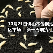 10月21日佛山不锈钢地区市场: 新一周期货红盘开市,不锈钢市场稳价为主。(图2) 10月21日佛山不锈钢地区市场: 新一周期货红盘开市,不锈钢市场稳价为主。(图2)