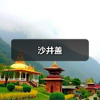 沙井盖(图3) 沙井盖(图3)