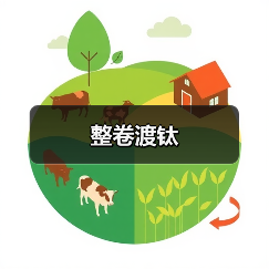 整卷渡钛(图3) 整卷渡钛(图3)