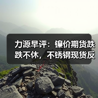 力源早评:镍价期货跌跌不休,不锈钢现货反其道而行(图2) 力源早评:镍价期货跌跌不休,不锈钢现货反其道而行(图2)