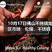 10月17日佛山不锈钢地区市场:伦镍,不锈钢大跌,市场更优惠出货?(图3) 10月17日佛山不锈钢地区市场:伦镍,不锈钢大跌,市场更优惠出货?(图3)
