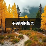 不锈钢钢板网(图3) 不锈钢钢板网(图3)