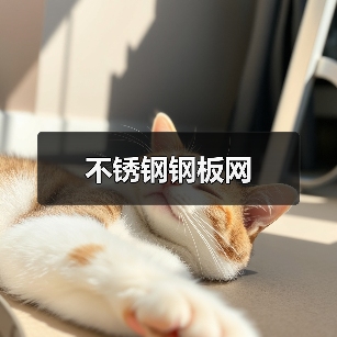 不锈钢钢板网