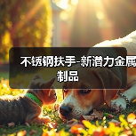 不锈钢扶手-新潜力金属制品(图2) 不锈钢扶手-新潜力金属制品(图2)