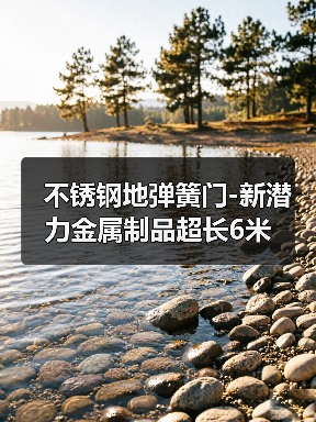 不锈钢地弹簧门-新潜力金属制品超长6米(图3) 不锈钢地弹簧门-新潜力金属制品超长6米(图3)