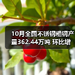 10月不锈钢产量微增2.22% Cr系产量下滑12.53%