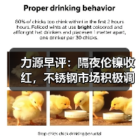 力源早评:隔夜伦镍收红,不锈钢市场积极调涨(图2) 力源早评:隔夜伦镍收红,不锈钢市场积极调涨(图2)