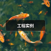 工程实例(图2) 工程实例(图2)