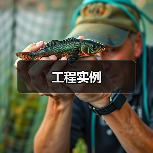 工程实例(图4) 工程实例(图4)