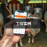 工程实例(图2) 工程实例(图2)