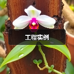 工程实例(图1) 工程实例(图1)