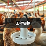 工程实例(图3) 工程实例(图3)