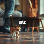 围栏(图4) 围栏(图4)