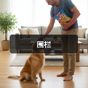 围栏（图1）