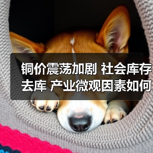 铜价震荡加剧 社会库存去库 产业微观因素如何影响市场？（图1）