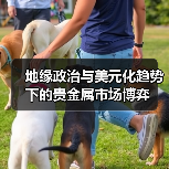 地缘政治与美元化趋势下的贵金属市场博弈（图4）