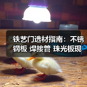 铁艺门选材指南：不锈钢板 焊接管 珠光板现货优选（图3）