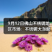 9月12日佛山不锈钢地区市场:不锈钢大涨超200,行情转好,市场氛围都转好!(图4) 9月12日佛山不锈钢地区市场:不锈钢大涨超200,行情转好,市场氛围都转好!(图4)