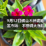 9月12日佛山不锈钢地区市场:不锈钢大涨超200,行情转好,市场氛围都转好!(图3) 9月12日佛山不锈钢地区市场:不锈钢大涨超200,行情转好,市场氛围都转好!(图3)