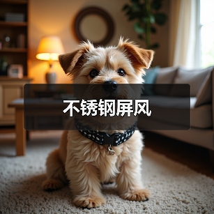 不锈钢屏风（图1）
