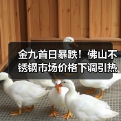 金九首日暴跌!佛山不锈钢市场价格下调引热议(图4) 金九首日暴跌!佛山不锈钢市场价格下调引热议(图4)