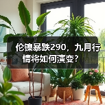 伦镍暴跌290，九月行情将如何演变？（图4）