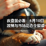 夜盘前必看：6月10日政策与市场动态全解读（图2）