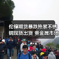 伦镍期货暴跌拖累不锈钢现货出货 贵金属市场震荡整理分析(图2) 伦镍期货暴跌拖累不锈钢现货出货 贵金属市场震荡整理分析(图2)