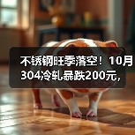 不锈钢旺季落空！10月304冷轧暴跌200元，为何逆势下跌？（图1）