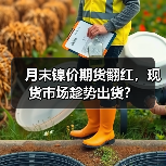月末镍价期货翻红，现货市场趁势出货？（图1）