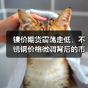 镍价期货震荡走低，不锈钢价格微调背后的市场信号？（图4）