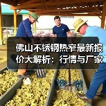 佛山不锈钢热窄最新报价大解析：行情与厂家价格对比（图2）