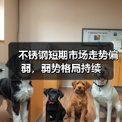 不锈钢短期市场走势偏弱，弱势格局持续（图3）