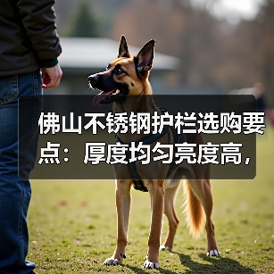 佛山不锈钢护栏选购要点：厚度均匀亮度高，欧式简约中式风格推荐（图3）