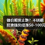 镍价期货止跌?不锈钢现货强势报涨50-100元!(图4) 镍价期货止跌?不锈钢现货强势报涨50-100元!(图4)