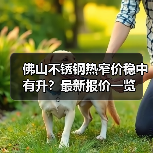 佛山不锈钢热窄价稳中有升？最新报价一览（图1）