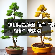 镍价期货续弱 商户“跳楼价”成焦点(图4) 镍价期货续弱 商户“跳楼价”成焦点(图4)