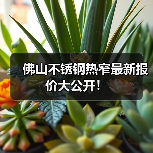 佛山不锈钢热窄最新报价大公开！（图2）