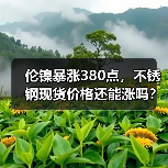 伦镍暴涨380点,不锈钢现货价格还能涨吗?(图2) 伦镍暴涨380点,不锈钢现货价格还能涨吗?(图2)