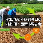 佛山热窄不锈钢今日价格如何？最新市场参考价一览（图1）