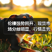 伦镍强势回升,现货市场分歧明显,行情走势如何?(图1) 伦镍强势回升,现货市场分歧明显,行情走势如何?(图1)