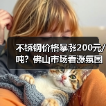 不锈钢价格暴涨200元/吨？佛山市场看涨氛围浓厚（图3）