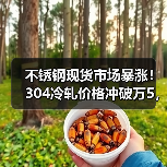 不锈钢现货市场暴涨!304冷轧价格冲破万5,谁在领涨?(图3) 不锈钢现货市场暴涨!304冷轧价格冲破万5,谁在领涨?(图3)